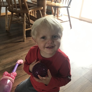 Calvin’s Crusaders